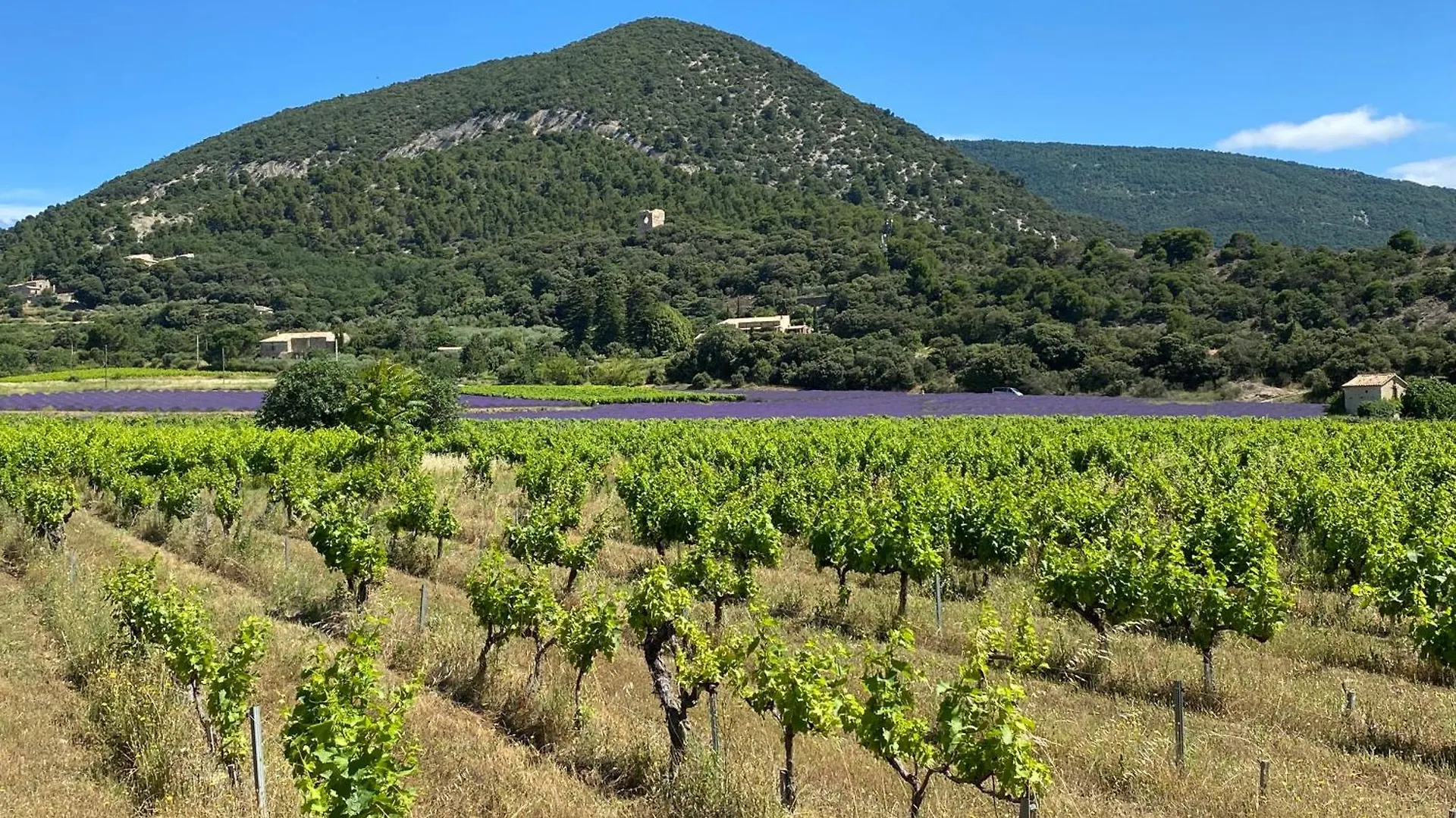 Mont-Ventoux, Provence, Appartement Avec Vue Panoramique Et Piscine Mollans-sur-Ouveze France